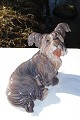Skye terrier, 
Dahl Jensen 
porcelain 
figurine dog. 
Skye terrier 
no. 1103. 
15cms. 1. 
Quality, mint 
...