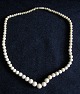 Necklace of 
bone beads, c. 
1900. L .: 62 
cm.