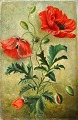Danish artist 
(19th c.) 
Denmark: 
Poppies. Signed 
monogram AH. 
Oil on canvas. 
Unframed. 25 x 
16.5 cm.