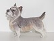 Dahl Jensen dog 
figurine, Cairn 
Terrier.
The factory 
mark tells, 
that this was 
produced ...