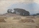 Rud-Petersen, 
Rudolf 
Siegfried (1871 
- 1961) 
Denmark: 
Harvest 
landscape. Oil 
on canvas. 
Signed ...