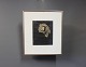 Woodcut of a 
duck, no 
signature.
H - 40 cm and 
W - 35,5 cm.
Without frame:
H - 21,5 cm 
and W ...