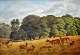 Schovelin, Axel 
(1827 - 1893) 
Denmark. 
Animals in the 
zoo. Oil on 
canvas. Signed 
1875. 26 x 38 
...