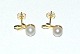 Designers 
Favorites 
Earrings, 
Sterling Silver 
317
18 karat gold 
gilding
2 Freshwater 
Beads, ...