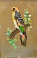 Birds pictures. 
China, 19th 
century. A 
combination of 
bird feathers 
and pastels. 17 
x 11.5 ...