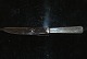 Derby Nr. 4 
Silver Child 
Knife / Fruit 
Knife
Toxværd
Length 17 cm.
Well 
maintained ...