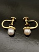 14 carat gold 
earrings with 
pearls D. 0.55 
cm. No. 403431