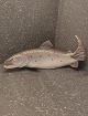 Royal 
Copenhagen 
salmon number 
2366  1.  
23x9cm