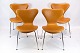 A set of 4 
Seven chairs, 
model 3107, 
designed by 
Arne Jacobsen 
and 
manufactured by 
Fritz Hansen. 
...