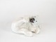 Royal porcelain 
figurine, 
reclining polar 
bear no.: 729 
by Royal 
Copenhagen.
Dimensions: 6 
x ...