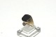 Elegant Men's 
ring with black 
onyx in 8 carat 
gold
Stamped HR
Str 63
The check by 
the jeweler ...