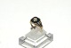 Elegant men's 
ring with 
brilliant and 
black onyx in 8 
carat gold
Stamp 333
Str 58
The check ...