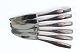 Charlotte 
Silver Cutlery
Made of 
sterling silver 
by Hans Hansen 
A/S
Dinner knives 
with ...