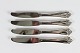 H. C. Andersen 
Silver Cutlery
Made of 
genuine silver 
830s by Horsens 
Sølv
Dinnerknives 
...