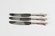 Rosenborg 
Silver Flatware 
by A. Dragsted 
Dinner knives 
with long blade 
of stainless 
...