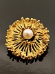 14 carat gold 
brooch D. 3.3 
cm. with 
genuine pearl 
design jewels 
Peter Hertz 
Copenhagen item 
no. ...