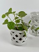 Gunnar Nylund 
for Rörstrand, 
set of three 
off-white 
chamotte 
flowerpots. The 
pots are all 
signed ...
