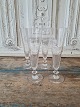 Set of 4 
champagne 
glases
Højde 16 cm.