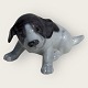 Royal 
Copenhagen, 
Pointer puppy 
#1311, 10cm 
wide, 5.5cm 
high, 1st 
grade, Design 
Erik Nielsen 
...