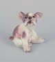 Dahl Jensen 
porcelain 
figurine of a 
French Bulldog.
Model: 1098.
From the 
1930s.
In perfect ...