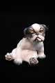 Charming little 
Dahl Jensen 
porcelain 
figurine of a 
Pekingese 
puppy. 
Decoration 
number: 1134. 
...