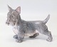 Dahl Jensen 
1066 Scottish 
Terrier 
standing (DJ) 
17 cm Marked 
with the royal 
Crown and DJ 
...