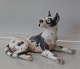 Dahl Jensen dog 
1112 Great 
Dane, laying 
(DJ) 18 x 29 cm 
Marked with the 
royal Crown and 
DJ ...