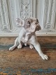 B&G Figure - 
French Bulldog 
No. 2000, 
Factory second 
- appears with 
grinding on one 
nail - see ...