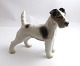 Bing & 
Grondahl. 
Porcelain 
figure. 
Rough-haired 
Fox Terrier. 
Model 1998. 
Height 14 cm. 
(2 quality)