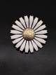 GEORG JENSEN 
daisy brooch 
4.2 cm. 
gold-plated 
sterling silver 
with enamel 
item no. item 
no. 577704