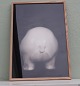 Lars Dyrendom: 
No #2 Polar 
Bear  Photo 
including glass 
...