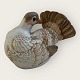 Royal 
Copenhagen, 
Galapagos 
pigeon #475/ 
2952, 11cm 
wide, 9cm high, 
Employee 
sorting, Design 
...