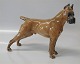 15 x 30 cm 
Rosenthal #1134 
Stor Dank Hund, 
Great Dane, 
Grand Danois 
German Boxer, 
standing, ...