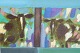 click to zoom click to zoom