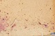 click to zoom click to zoom