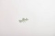 click to zoom click to zoom