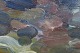 click to zoom click to zoom