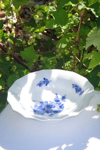 Royal Copenhagen Blaue Blume glatt Schale 8007