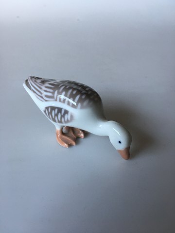 click to zoom