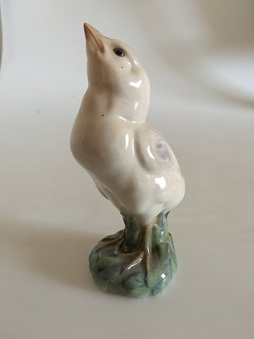 Royal Copenhagen Figurine Turkey Chick No 1185