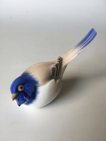 click to zoom