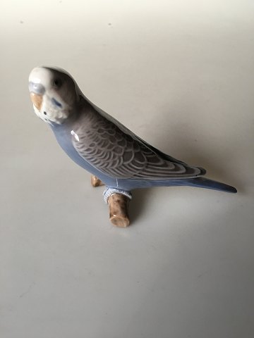 click to zoom