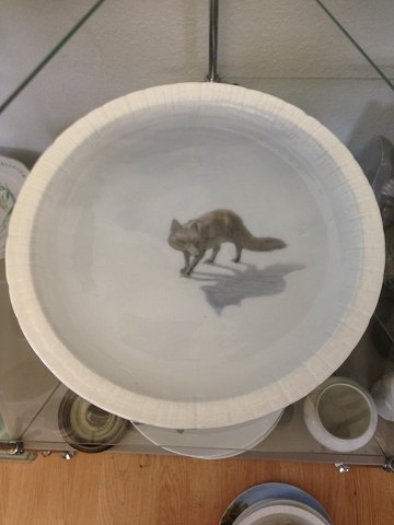 click to zoom