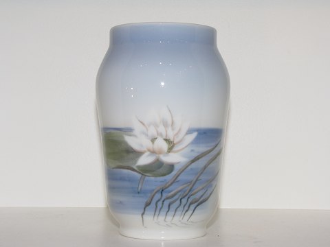 item no: 226120