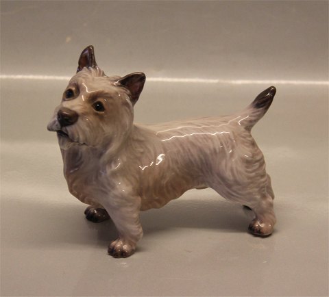 Light version Dahl Jensen 1149 Cairn Terrier (DJ) 14.8 cm