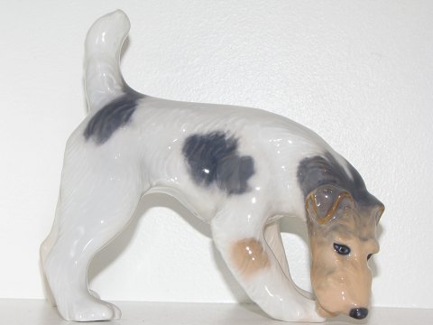 Royal Copenhagen figur
Ruhåret terrier