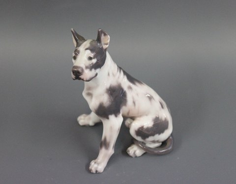 Dahl Jensen porcelain figure, seated Great Dane, no. 1128.
Great condition
