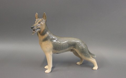 Royal Copenhagen porcelain figurine, German Shepard, no. 3261.
5000m2 showroom.