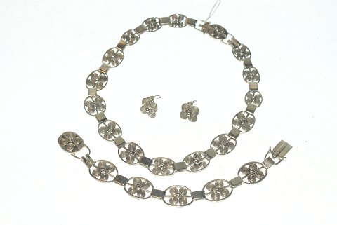 Elegant jewelery set. silver