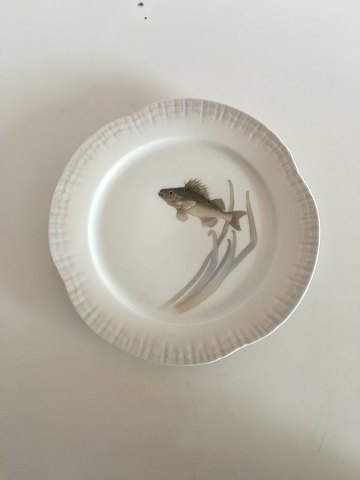click to zoom